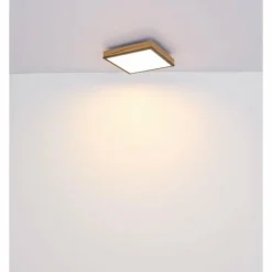 Lampes En Bois-Luminaires Globo Lighting Plafonnier Globo DORO LED Couleur bois, Noir, 1 lumière