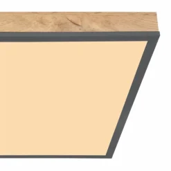 Lampes En Bois-Luminaires Globo Lighting Plafonnier Globo DORO LED Couleur bois, Noir, 1 lumière