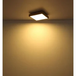 Lampes En Bois-Luminaires Globo Lighting Plafonnier Globo DORO LED Couleur bois, Noir, 1 lumière