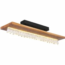 Luminaires Scandinaves-Luminaires Globo Lighting Plafonnier Globo EDELTRAUD LED Noir, 1 lumière