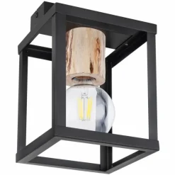 Luminaires Globo Lighting Plafonnier Globo HAGAR Noir, 1 lumière* Plafonniers