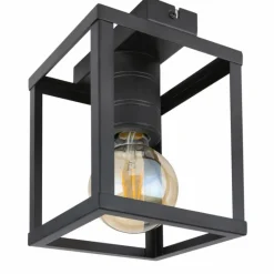 Lampes Industrielles-Luminaires Globo Lighting Plafonnier Globo HAGAR Noir, 1 lumière