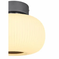 Luminaires Globo Lighting Plafonnier Globo LED Anthracite, Nickel mat, 1 lumière