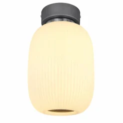 Luminaires Globo Lighting Plafonnier Globo LED Anthracite, Nickel mat, 1 lumière