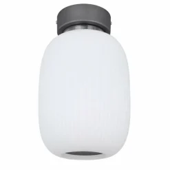 Luminaires Globo Lighting Plafonnier Globo LED Anthracite, Nickel mat, 1 lumière