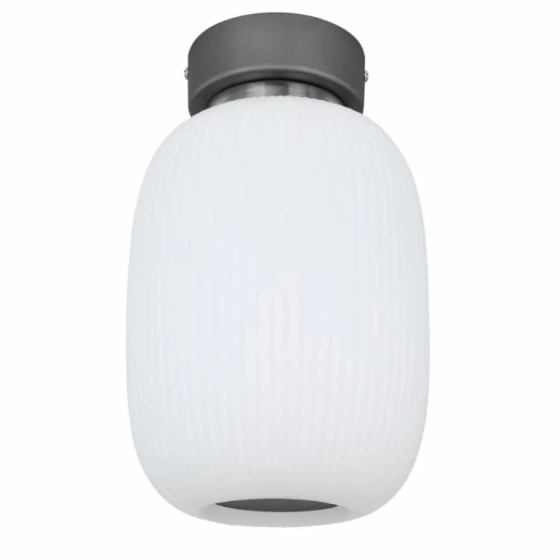 Luminaires Globo Lighting Plafonnier Globo LED Anthracite, Nickel mat, 1 lumière