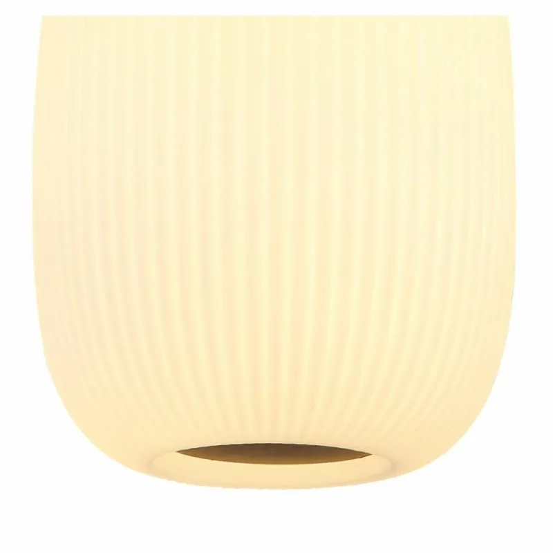 Luminaires Globo Lighting Plafonnier Globo LED Anthracite, Nickel mat, 1 lumière