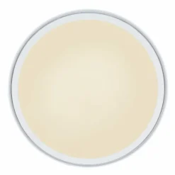 Luminaires Globo Lighting Plafonnier Globo SAMU LED Blanc, 1 lumière, Télécommandes, Changeur de couleurs* Éclairage Led