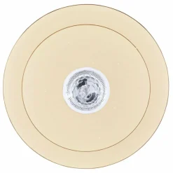 Luminaires Globo Lighting Plafonnier Globo SANTINA LED Blanc, 1 lumière, Télécommandes