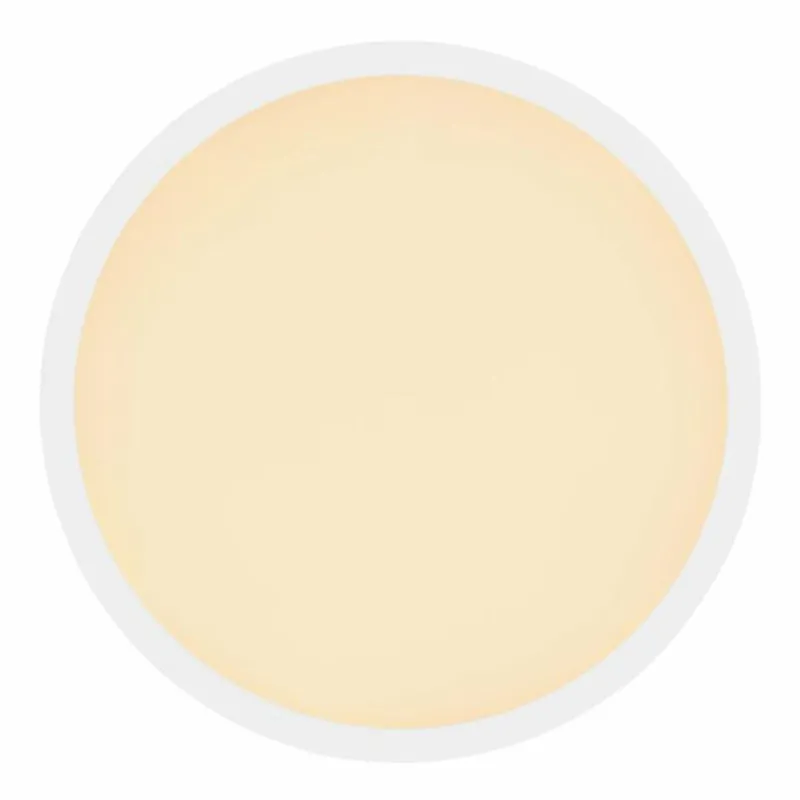 Luminaires Globo Lighting Plafonnier Globo SAPANA LED Blanc, 1 lumière* Éclairage Led