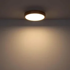 Lampes Vintages & Rétros-Luminaires Globo Lighting Plafonnier Globo WEDIO LED, 1 lumière, Télécommandes