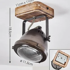 Luminaires Rustiques-hofstein Plafonnier Glostrup Brun, Acier inoxydable, 1 lumière