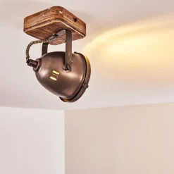 Luminaires Rustiques-hofstein Plafonnier Glostrup Brun, Acier inoxydable, 1 lumière