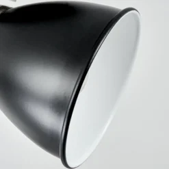 Lampes Industrielles-hofstein Plafonnier Gralingen Nickel mat, Noir, Blanc, 1 lumière