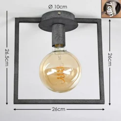 Lampes Industrielles-hofstein Plafonnier Guinan Gris, Noir, 1 lumière