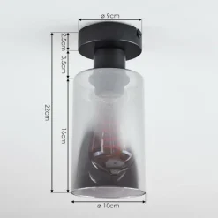 Suspension Verre Fumé-hofstein Plafonnier Hunouri Noir, 1 lumière