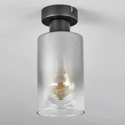 Suspension Verre Fumé-hofstein Plafonnier Hunouri Noir, 1 lumière