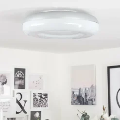 Idual Plafonnier Daphnis LED Argenté, Blanc, 1 lumière, Télécommandes, Changeur de couleurs