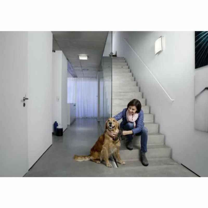 Luminaires Ledvance Plafonnier LEDVANCE LUNIVE Argenté, 1 lumière