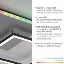 Luminaires Leuchten Direkt Plafonnier Leuchten Direkt RENDA LED Argenté, 2 lumières, Télécommandes, Changeur de couleurs* Éclairage Led