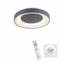 Luminaires Leuchten Direkt Plafonnier Leuchten-Direkt ANIKA LED Anthracite, 1 lumière, Télécommandes* Éclairage Led