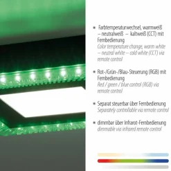 Luminaires Leuchten Direkt Plafonnier Leuchten-Direkt ACRI LED Noir, 2 lumières, Télécommandes* Éclairage Led
