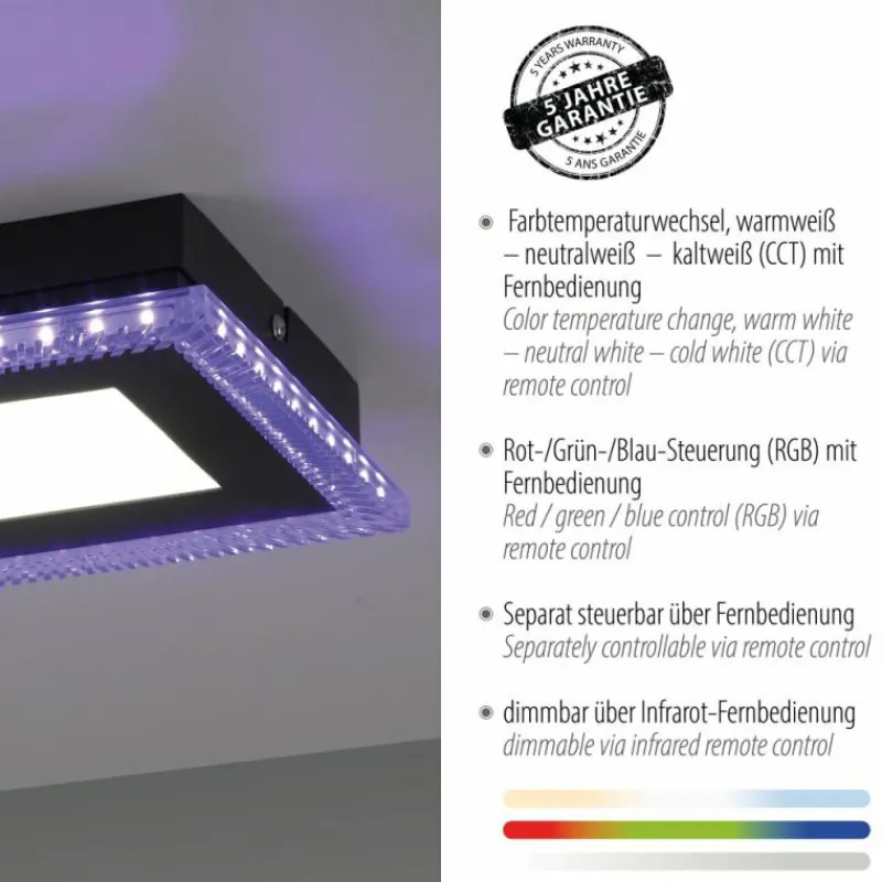 Luminaires Leuchten Direkt Plafonnier Leuchten-Direkt ACRI LED Noir, 2 lumières, Télécommandes* Éclairage Led