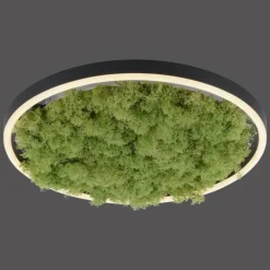 Luminaires Leuchten Direkt Plafonnier Leuchten-Direkt GREEN RITUS LED Noir, 1 lumière* Éclairage Led