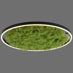 Luminaires Leuchten Direkt Plafonnier Leuchten-Direkt GREEN RITUS LED Noir, 1 lumière* Éclairage Led