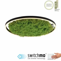 Luminaires Leuchten Direkt Plafonnier Leuchten-Direkt GREEN RITUS LED Noir, 1 lumière* Éclairage Led