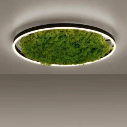 Luminaires Leuchten Direkt Plafonnier Leuchten-Direkt GREEN RITUS LED Noir, 1 lumière* Éclairage Led