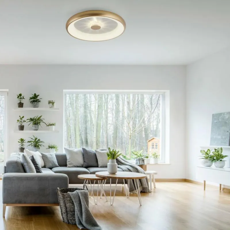 Lampes Dorées-Luminaires Leuchten Direkt Plafonnier Leuchten-Direkt VERTIGO LED Or, 1 lumière, Télécommandes