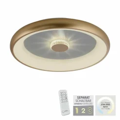 Lampes Dorées-Luminaires Leuchten Direkt Plafonnier Leuchten-Direkt VERTIGO LED Or, 1 lumière, Télécommandes