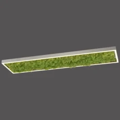 Luminaires Leuchten Direkt Plafonnier Leuchten-Direkt GREEN KNUT LED Argenté, 1 lumière* Éclairage Led