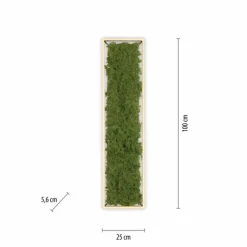 Luminaires Leuchten Direkt Plafonnier Leuchten-Direkt GREEN KNUT LED Argenté, 1 lumière* Éclairage Led