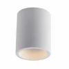 Luce Design Plafonnier Luce-Design Banjie peut être peint avec de la peinture ordinaire, Blanc, 1 lumière* Plafonniers
