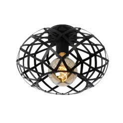 Luminaires Lucide Plafonnier Lucide WOLFRAM Noir, 1 lumière* Plafonniers
