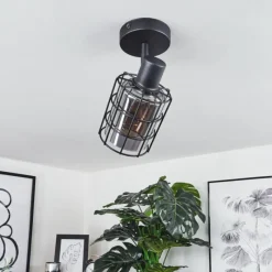 Suspension Verre Fumé-hofstein Plafonnier Lungernsee Noir, 1 lumière