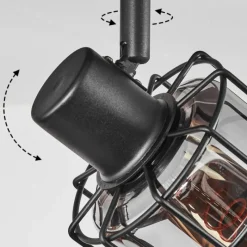 Suspension Verre Fumé-hofstein Plafonnier Lungernsee Noir, 2 lumières