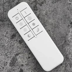 hofstein Plafonnier Mackay LED Anthracite, Blanc, 1 lumière