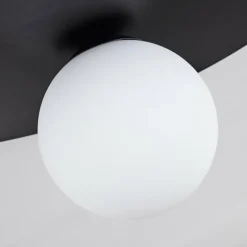 hofstein Plafonnier Marahu Noir, 1 lumière