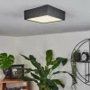 hofstein Plafonnier Netstal LED Anthracite, 1 lumière