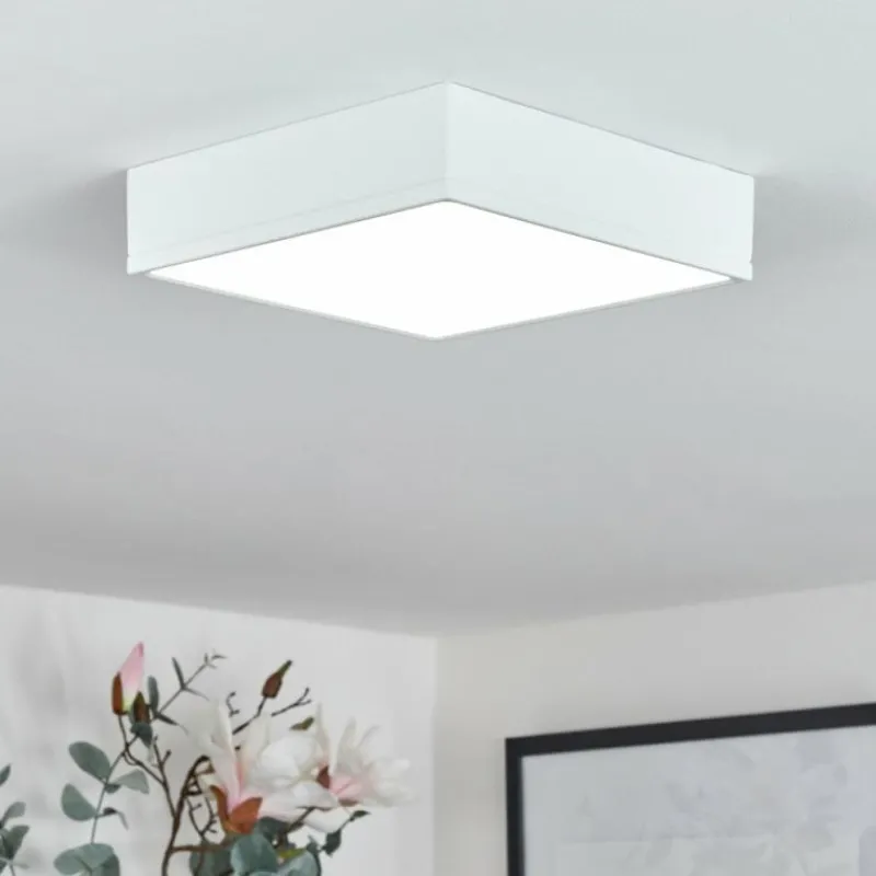 hofstein Plafonnier Netstal LED Blanc, 1 lumière