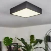 hofstein Plafonnier Netstal LED Noir, 1 lumière