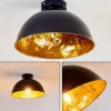 Lampes Industrielles-hofstein Plafonnier Nome Noir, 1 lumière