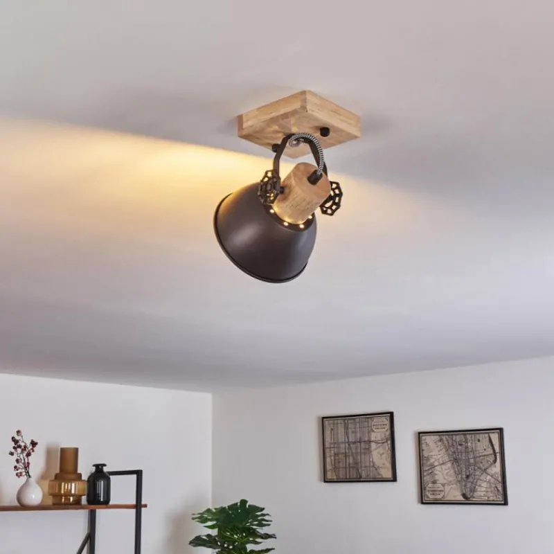 Lampes Industrielles-hofstein Plafonnier Orny Brun, Noir, 1 lumière