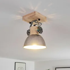 Lampes Industrielles-hofstein Plafonnier Orny Brun, Zingué, 1 lumière