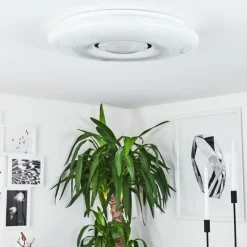 hofstein Plafonnier Page LED Blanc, 2 lumières, Télécommandes, Changeur de couleurs