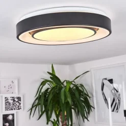 hofstein Plafonnier Page LED Noir, Blanc, 2 lumières, Télécommandes, Changeur de couleurs* Éclairage Led