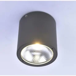 Luminaires Paul Neuhaus Plafonnier Paul Neuhaus GEORG LED Anthracite, 1 lumière